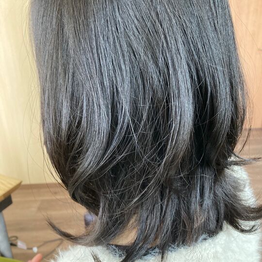 画像1260